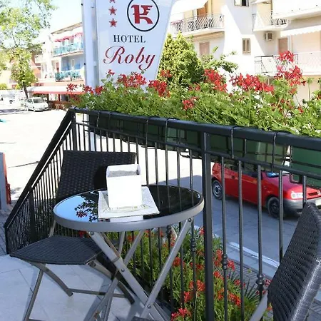 Hotel Roby 3*